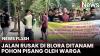Warga Blora Tanam Pohon Pisang di Jalan Rusak, Kecewa Tak Kunjung Diperbaiki