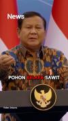 Presiden Prabowo Klaim Banyak Negara Minta Kelapa Sawit RI