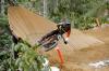 76 Indonesian Downhill Season 2025 Siap Bergulir, Seri Perdana di Kudus