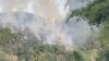 Kebakaran Hutan dan Lahan Meluas di Limapuluh Kota Sumbar, Petugas Berjibaku Padamkan Api