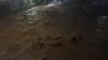 Diguyur Hujan Deras, Desa Pujiharjo Malang Diterjang Tanah Longsor dan Banjir Bandang