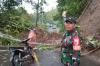 Longsor Tutup Total Jalan Raya Malang–Lumajang, Arus Lalu Lintas Lumpuh