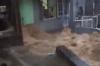 Banjir Terjang Bogor, Ibu-Ibu Histeris Lihat Air Deras Masuk Permukiman