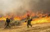 Ganas, Kebakaran California Meluas Lahap 32.300 Hektare Lahan 