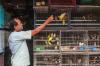 Pasar Hewan Barito Segera Direlokasi - Bagian 3