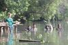 Penanaman Ratusan Pohon Mangrove - Bagian 2