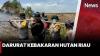 Kebakaran Meluas, Riau Darurat Karhutla