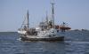Tembus Blokade Israel, Kapal Freedom Flotilla Diperkirakan Masuki Perbatasan Gaza 3-4 Hari