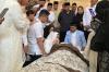 Suasana Haru, Istri Suryadharma Ali Menangis di Samping Jenazah Sang Suami - Bagian 1