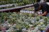 Pameran Flona 2025 Dorong Potensi Flora dan Fauna Unggulan Daerah