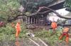 10 Pohon Tumbang di Jakarta Imbas Hujan Deras Sore Ini