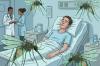 Kabupaten Parimo KLB Malaria, Kemenkes Beberkan Penyebabnya!