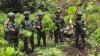 Satgas Pamtas RI-PNG Musnahkan 297 Pohon Ganja di Pegunungan Bintang Papua