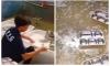 Viral Video Tempat Makanan MBG Dicuci Pakai Air Kotor hingga Netizen Geram