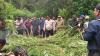 Polisi Ungkap Ladang Ganja di Perbukitan Karo, 400 Batang Dimusnahkan