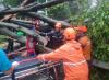 Pohon Tumbang Timpa 5 Mobil di Dharmawangsa Jaksel, 1 Orang Tewas