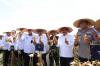 Menteri Imipas Panen Jagung di Sidoarjo, Dorong Ketahanan Pangan Nasional