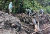 Banjir Bandang dan Longsor Terjang Nduga Papua, 15 Orang Hilang