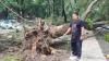 Puting Beliung Terjang Majalengka, Pohon Tumbang hingga Atap Rumah Rusak