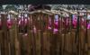 Ribuan Orang Kompak Bermain Angklung di Bundaran HI - Bagian 3