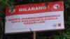 Warga Nagari Lasi Sumbar Tetapkan Sumpah Adat, Larang Tebang Pohon dan Berburu Burung