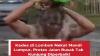 Viral! Kades di Lombok Tengah Mandi Lumpur Protes Jalan Rusak, Netizen: Dana Desa Miliaran