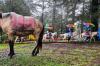 Wisata Berkuda Jadi Daya Tarik Pengunjung Hutan Pinus Malino - Bagian 4
