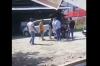 Oknum ASN BNN Asahan Rampas Motor pakai Senpi Milik Kantor, Dihukum 9 Bulan Penjara