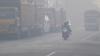8 Hektare Lahan Gambut di Aceh Barat Terbakar, Jalan Lintas Provinsi Diselimuti Asap