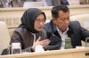 Pemulihan Pascabencana, Menteri PANRB Perkuat Tata Kelola Pemerintahan dan Pelayanan Publik