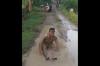Viral Kades di Sragen Mandi Lumpur usai Terjatuh di Jalan Berlubang, Ini Penyebabnya