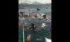 Update Longboat Terbalik di Halmahera Selatan, 57 Selamat 1 Tewas dan 1 Hilang