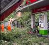 Detik-Detik Pohon Tumbang Timpa SPBU di Senen gegara Hujan dan Angin Kencang