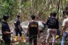 Terungkap! Gajah Sumatera Ditembak 2 Kali dari Jarak Dekat sebelum Dimutilasi