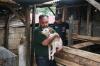 Dua Pelaku Usaha Daging Anjing di Kupang Tutup Permanen, 10 Anjing Diselamatkan - Bagian 1