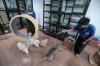 Hotel Kucing Penuh saat Musim Mudik Lebaran 2026, Tarif Mulai Rp160 Ribu - Bagian 2