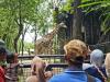 Ragunan Diserbu Wisatawan! Taman Margasatwa di Jaksel Ini Jadi Primadona Libur Lebaran 2026