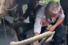 Terungkap! Minibus Travel yang Kecelakaan Tewaskan 7 Orang di Majalengka Ternyata Ilegal
