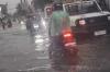 Hujan Badai Terjang Jember, Puluhan Pohon Tumbang hingga Picu Banjir