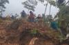 Tebing 50 Meter di Cilacap Longsor, Akses 2 Kecamatan Putus Total hingga Listrik Padam
