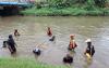 Pembasmian Ikan Sapu-Sapu Berlanjut, Pemkot Jakbar Tangkap 217 Kg