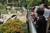 Libur Panjang Idul Adha 2026, Ragunan Diprediksi Dikunjungi 35.000 Wisatawan