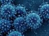 Virus Yamagata Penyebab Influenza Tak Lagi Ditemukan sejak 2020, Kok Bisa?