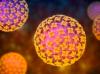 Israel Diserang Hantavirus, Kasus Positif Terkonfirmasi!