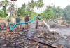 Kandang Ayam Kapasitas 20.000 Ekor Terbakar di Pangandaran, Kerugian Hampir Rp1 Miliar