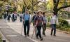 Belum Kuat Lari, Japanese Walking Jadi Alternatif bagi Pemula Jaga Kesehatan Jantung