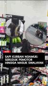 Sapi Kurban Ngamuk! Seruduk Pemotor hingga Masuk Swalayan