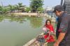 Heboh! Ribuan Ikan Mati Mengambang di Irigasi Karawang, Ada Apa?