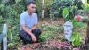Perundungan Berujung Maut, Siswa SMP di Lumajang Tewas Dipukul gegara Sampah