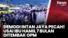 Ibu Hamil Tewas Ditembak KKB di Intan Jaya Papua Tengah